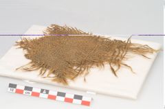 Foto von Textil (NHMW-PRAE-120775)